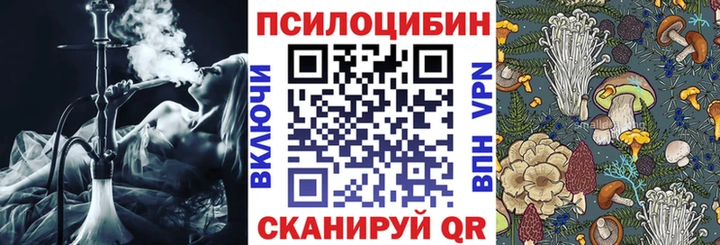 продажа наркотиков Приморск Галлюциногенные грибы прущие грибы
